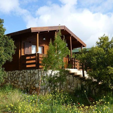 Mountain Breeze Lodge & Resort Al Szalt Kültér fotó